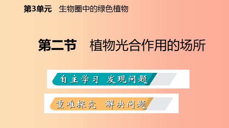 2019年七年级生物上册 第三单元 第六章 第二节 植物光合作用的场所课件（新版）苏教版.ppt_第2页