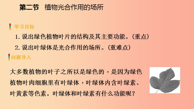 2019年七年级生物上册 第三单元 第六章 第二节 植物光合作用的场所课件（新版）苏教版.ppt_第3页