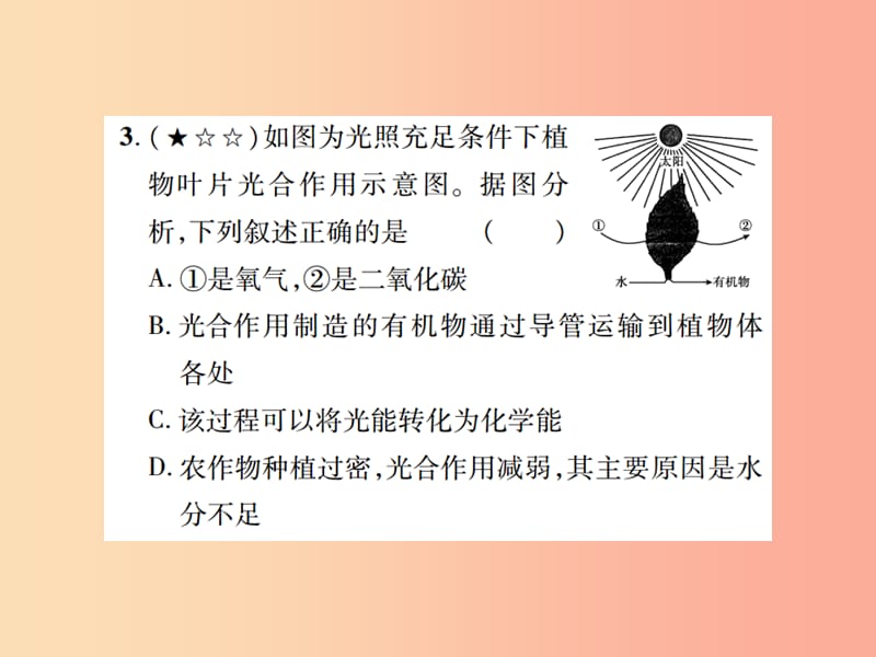 中考（江西专用）2019中考生物 同步高效集训（九）课件.ppt_第3页