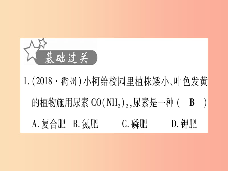 （宁夏专用版）2019中考化学 第11单元 盐 化肥（提分精炼）课件.ppt_第2页