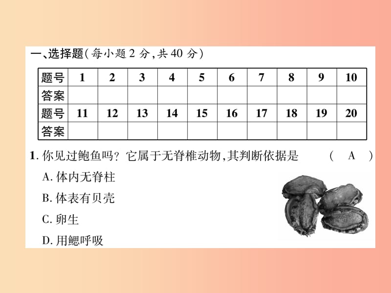 2019年八年级生物上册 期中达标测试题课件 新人教版.ppt_第2页