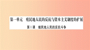 九年級歷史下冊 第1單元 殖民地人民的反抗與資本主義制度的擴(kuò)展 第1課 殖民地人民的反抗斗爭自學(xué).ppt