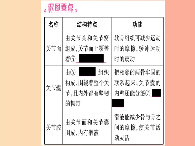 （玉林专版）2019年中考生物总复习 八上 第5单元 第2章 动物的运动和行为 第3章 动物在生物圈中的作用课件.ppt_第3页