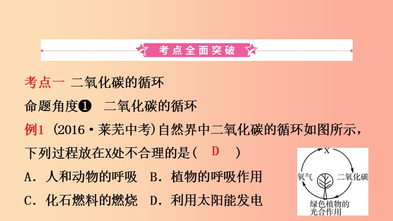 山东省2019年中考化学一轮复习 第六单元 燃料与燃烧 第2课时 大自然中的二氧化碳课件.ppt_第2页