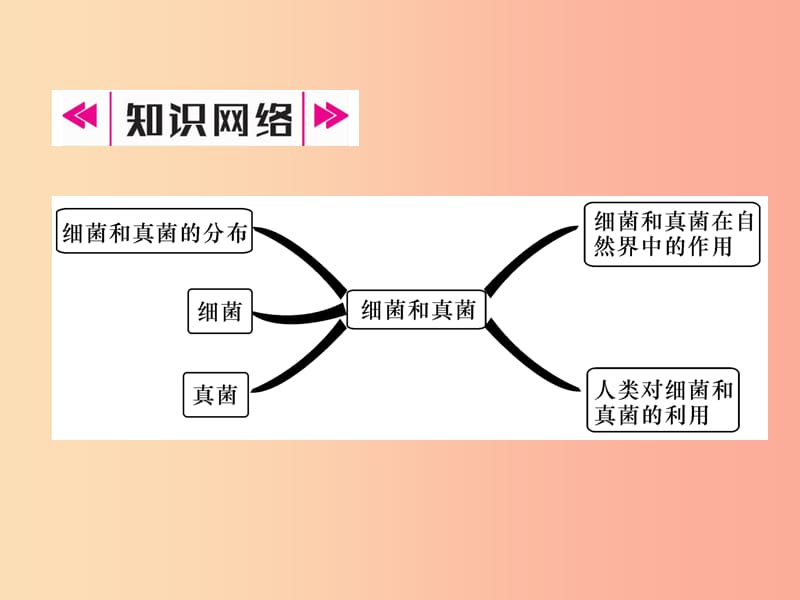 2019年八年级生物上册 5.4.1 细菌和真菌的分布作业课件 新人教版.ppt_第2页