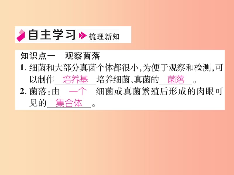 2019年八年级生物上册 5.4.1 细菌和真菌的分布作业课件 新人教版.ppt_第3页