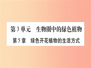 （貴港地區(qū)）2019年中考生物總復(fù)習(xí) 七上 第3單元 第5章 綠色開花植物的生活方式習(xí)題課件.ppt