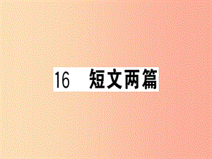 （武漢專版）2019春七年級語文下冊 第四單元 16 短文兩篇習(xí)題課件 新人教版.ppt