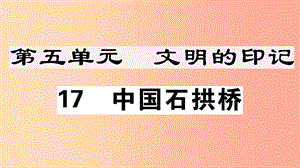 （安徽專版）八年級語文上冊 第五單元 17 中國石拱橋習(xí)題課件 新人教版.ppt