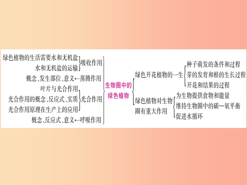 （玉林专版）2019年中考生物总复习 第2部分 知能综合突破 专题3 生物圈中的绿色植物课件.ppt_第2页