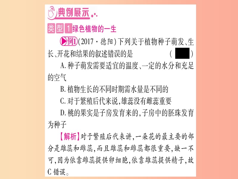 （玉林专版）2019年中考生物总复习 第2部分 知能综合突破 专题3 生物圈中的绿色植物课件.ppt_第3页