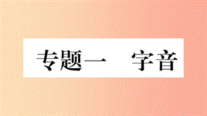 重慶市2019年中考語文 第1部分 語文知識及運用 專題1 字音習題課件.ppt