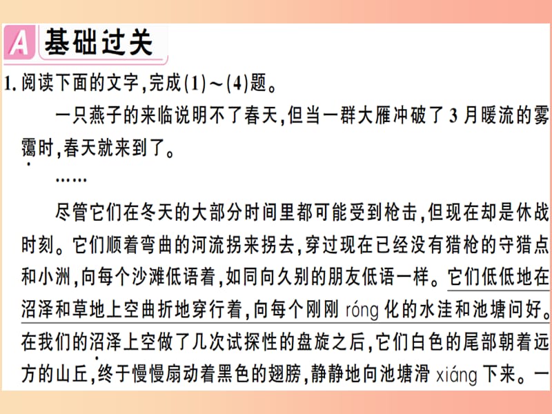 （安徽专版）2019春八年级语文下册 第二单元 7大雁归来习题课件 新人教版.ppt_第2页