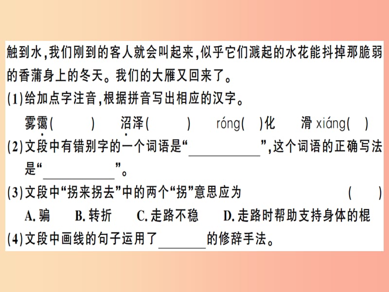 （安徽专版）2019春八年级语文下册 第二单元 7大雁归来习题课件 新人教版.ppt_第3页