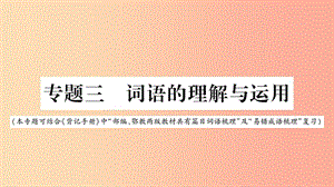 重慶市2019年中考語文 第1部分 語文知識及運用 專題3 詞語的理解與運用課件.ppt