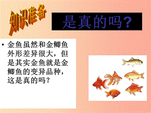 吉林省通化市八年級(jí)生物下冊(cè) 7.2.5生物的變異課件1 新人教版.ppt