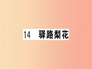 （貴州專版）2019春七年級語文下冊 第四單元 14 驛路梨花習(xí)題課件 新人教版.ppt