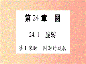 九年級數(shù)學下冊 第24章 圓 24.1 旋轉(zhuǎn) 第1課時 圖形的旋轉(zhuǎn)作業(yè)課件 （新版）滬科版.ppt