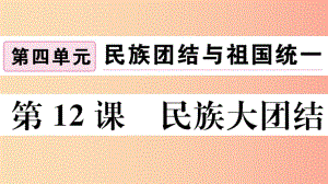 （玉林專版）2019春八年級歷史下冊 第四單元 民族團結(jié)與祖國統(tǒng)一 第12課 民族大團結(jié)習(xí)題課件 新人教版.ppt