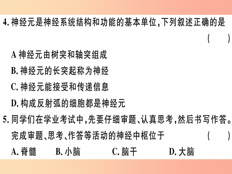 2019七年级生物下册 第四单元 第六章 人体生命活动的调节检测卷课件 新人教版.ppt_第3页