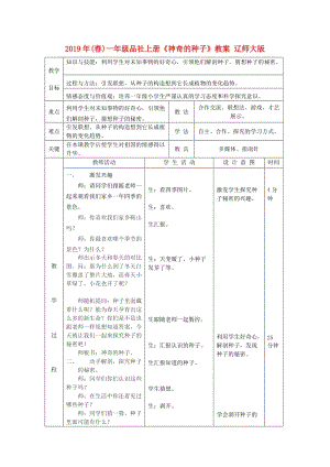 2019年(春)一年級品社上冊《神奇的種子》教案 遼師大版.doc