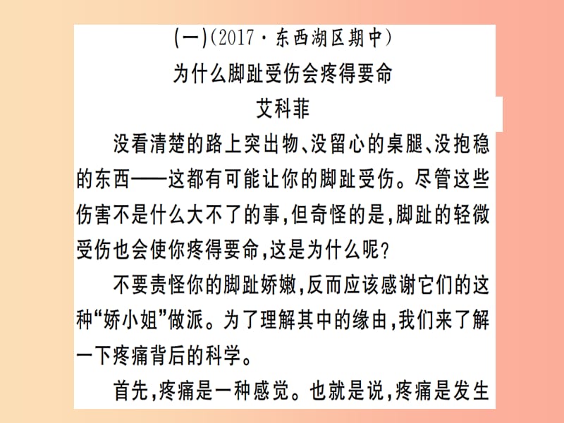 （武汉专用）2019年八年级语文上册 专题六 实用文阅读习题课件 新人教版.ppt_第2页