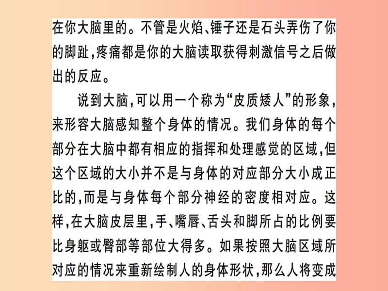 （武汉专用）2019年八年级语文上册 专题六 实用文阅读习题课件 新人教版.ppt_第3页