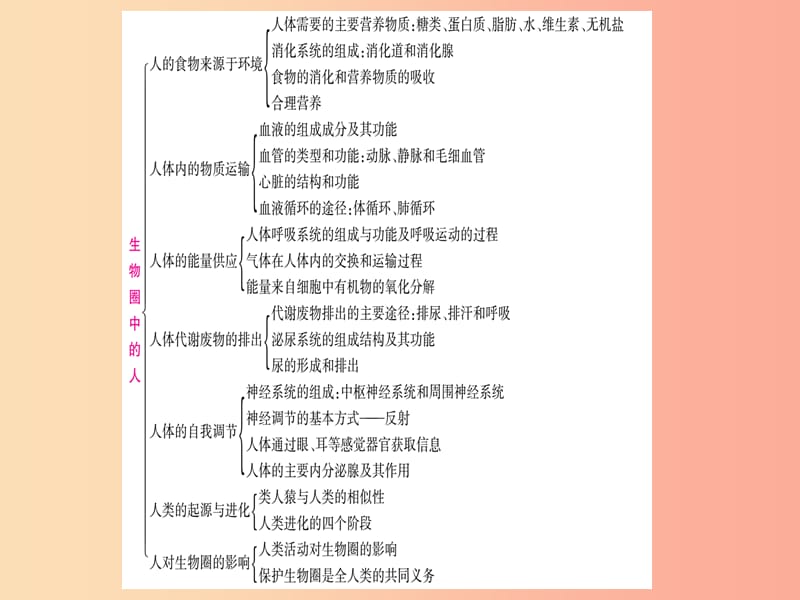 （玉林专版）2019年中考生物总复习 第2部分 知能综合突破 专题4 生物圈中的人课件.ppt_第2页