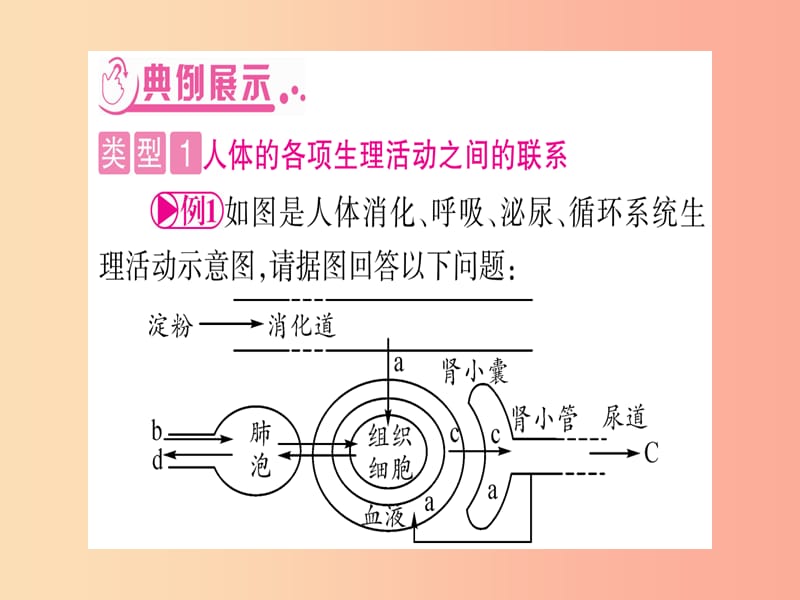 （玉林专版）2019年中考生物总复习 第2部分 知能综合突破 专题4 生物圈中的人课件.ppt_第3页