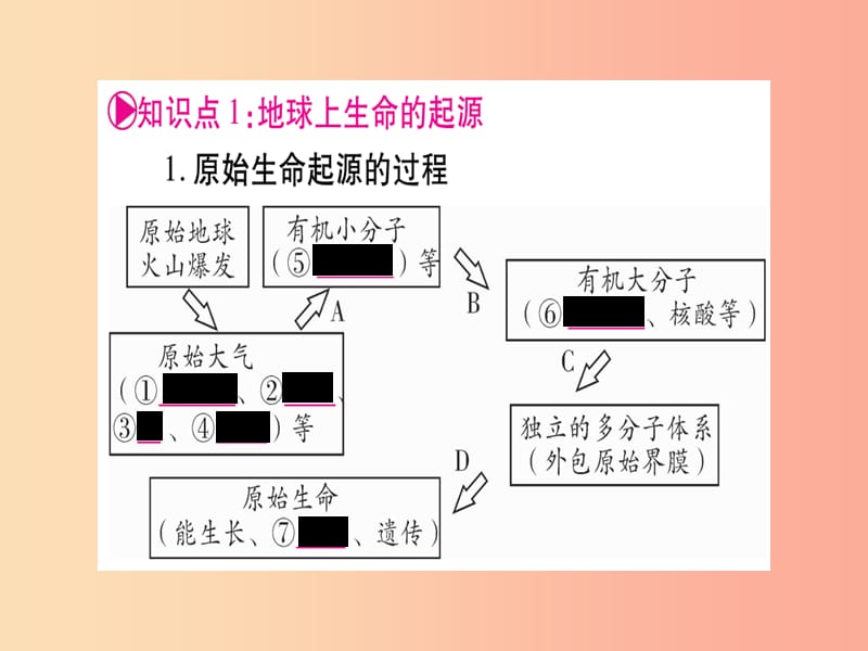 （玉林专版）2019年中考生物总复习 八下 第7单元 第3章 生命起源和生物进化课件.ppt_第2页