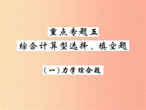 2019屆中考物理 第一輪 重點(diǎn)專(zhuān)題突破五 綜合計(jì)算型選擇、填空題復(fù)習(xí)課件.ppt