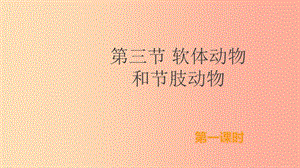 八年級生物上冊 5.1.3《軟體動物和節(jié)肢動物》（第1課時）課件 新人教版.ppt