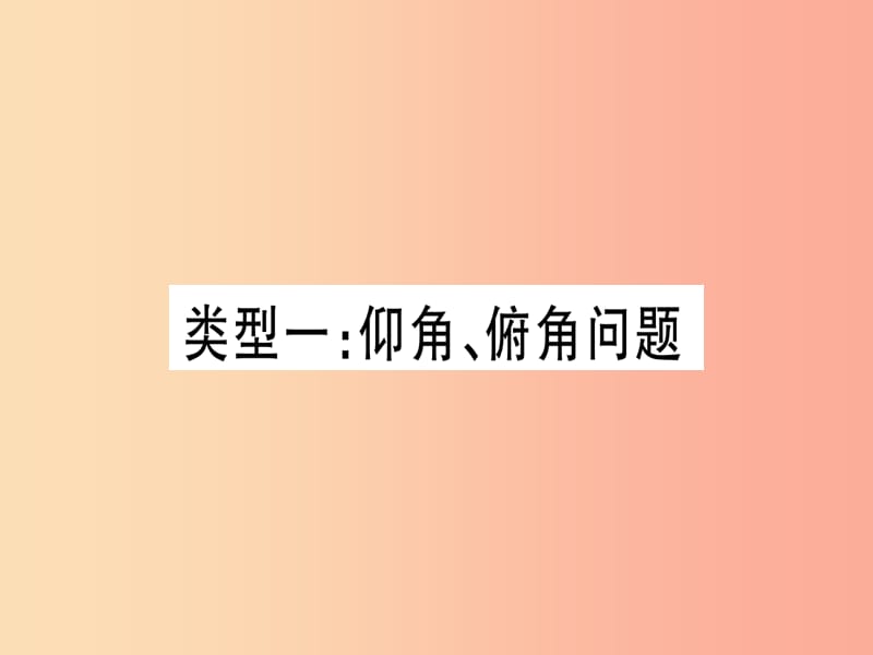 （贵州专版）2019中考数学总复习 第二轮 中档题突破 专项突破4 解直角三角形的实际应用课件.ppt_第2页