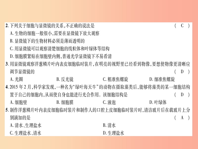 2019年七年级生物上册 第二单元　生物体的结构层次达标测试课件 新人教版.ppt_第3页