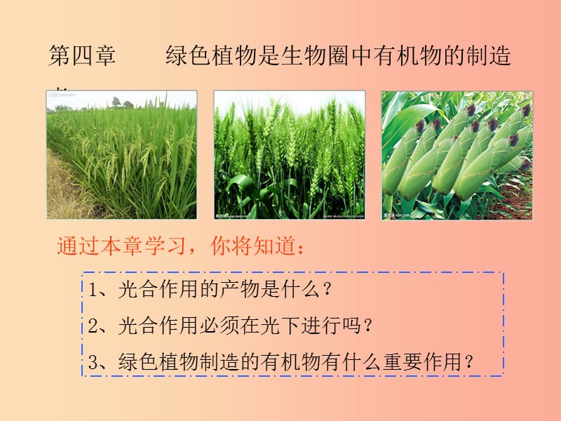 陕西省七年级生物上册 3.4绿色植物是生物圈中有机物的制造者课件 新人教版.ppt_第1页