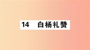 （江西專版）八年級語文上冊 第四單元 14 白楊禮贊習(xí)題課件 新人教版.ppt