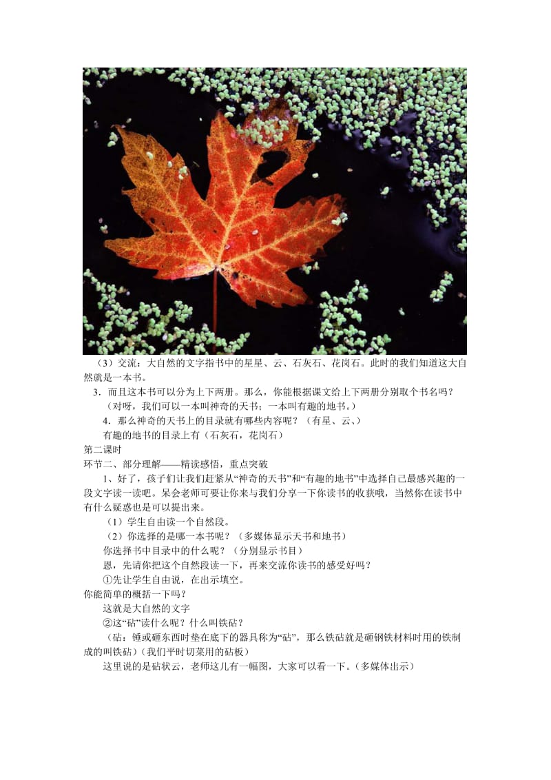 2019年(秋)六年级语文上册 第24课 大自然的文字教学设计6 苏教版.doc_第3页