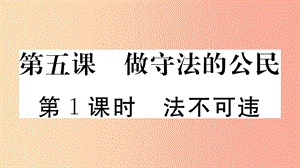 八年級道德與法治上冊 第二單元 遵守社會規(guī)則 第五課 做守法的公民 第1框 法不可違習題課件 新人教版 (2).ppt