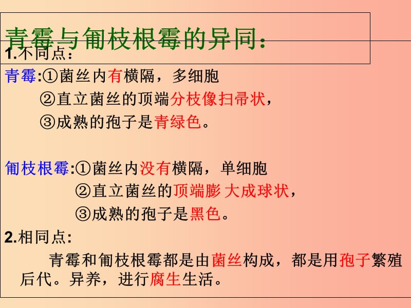 江苏省七年级生物下册 14.1生物的命名和分类课件（新版）苏科版.ppt_第1页