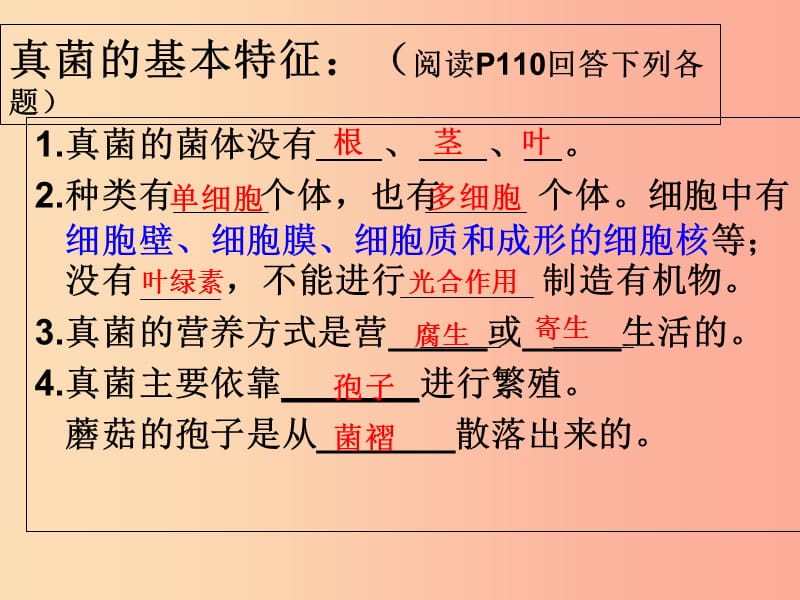 江苏省七年级生物下册 14.1生物的命名和分类课件（新版）苏科版.ppt_第2页