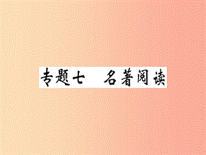 （貴州專版）2019春七年級語文下冊 專題七 名著閱讀習(xí)題課件 新人教版.ppt