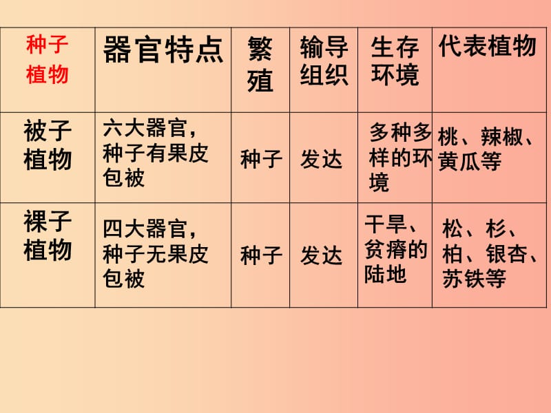 江苏省七年级生物下册11.1地面上的植物苔藓和蕨类课件新版苏科版.ppt_第2页