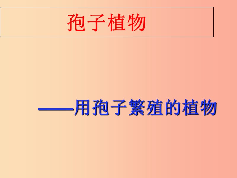 江苏省七年级生物下册11.1地面上的植物苔藓和蕨类课件新版苏科版.ppt_第3页