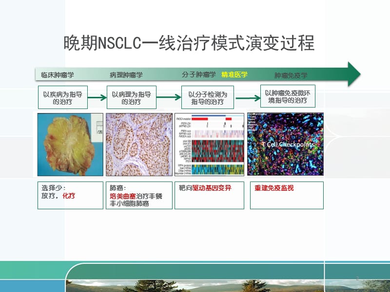 晚期NSCLC一线治疗新进展ppt课件_第2页