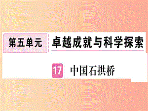 （河南專用）八年級語文上冊 第五單元 17 中國石拱橋習題課件 新人教版.ppt