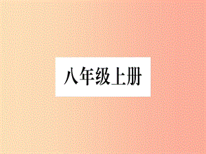 廣西2019年中考地理總復習 八上 第1章 中國的疆域與人口課件.ppt