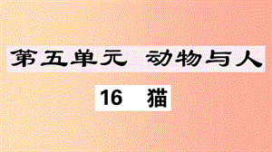 （江西專版）2019年七年級(jí)語(yǔ)文上冊(cè) 第五單元 16 貓習(xí)題課件 新人教版.ppt