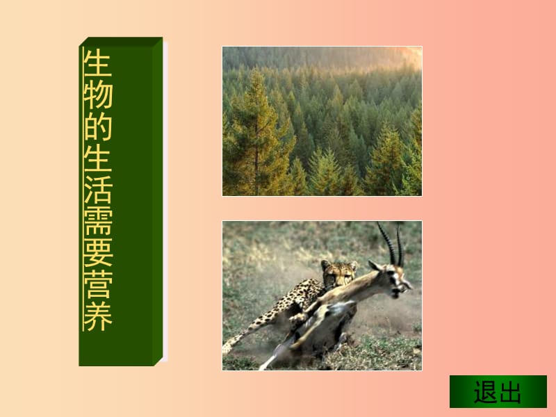 七年级生物上册1.1.1生物的特征课件2 新人教版.ppt_第3页