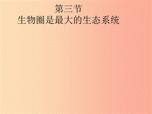 2019年七年级生物上册 2.3《生物圈是最大的生态系统》课件3 新人教版.ppt