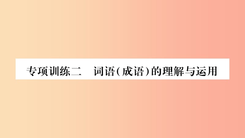 四川省2019年中考语文 专题2 词语（成语）的理解与运用精练课件.ppt_第1页